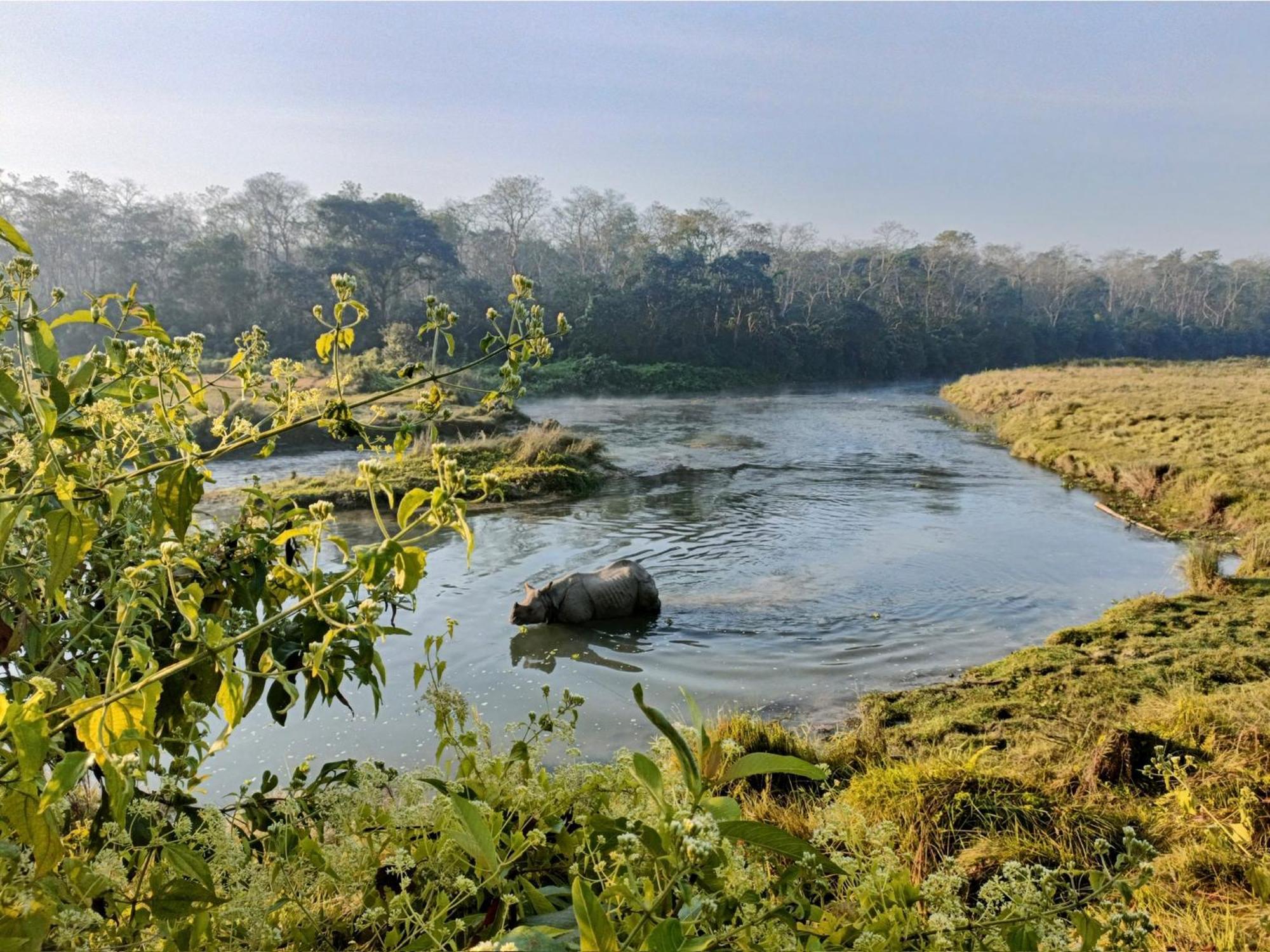 Hotel Tharu Garden And Beer Bar Chitwan Exteriör bild