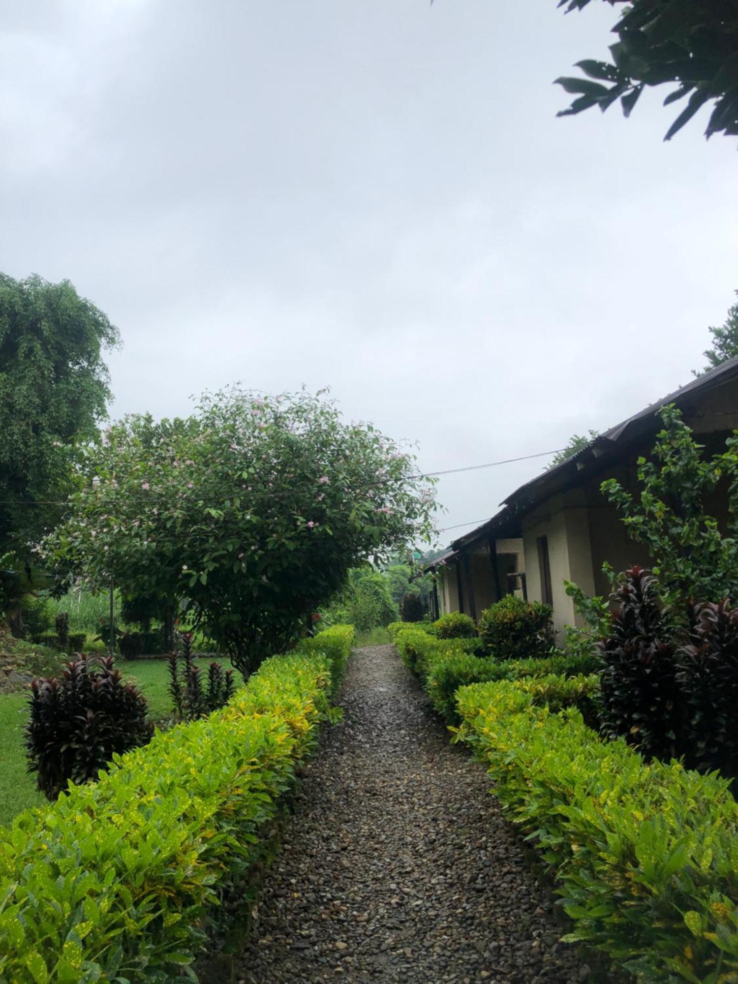 Hotel Tharu Garden And Beer Bar Chitwan Exteriör bild