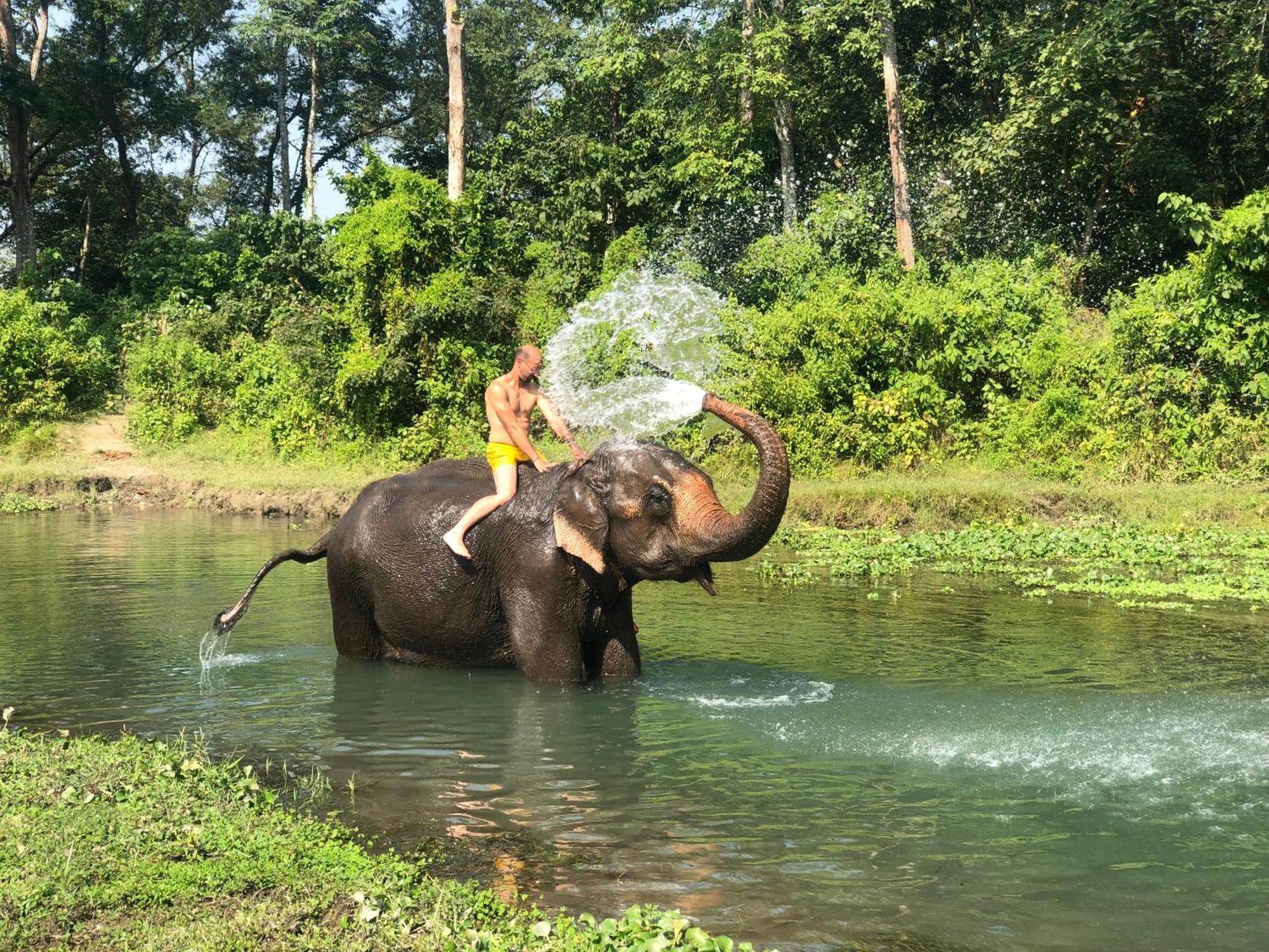 Hotel Tharu Garden And Beer Bar Chitwan Exteriör bild