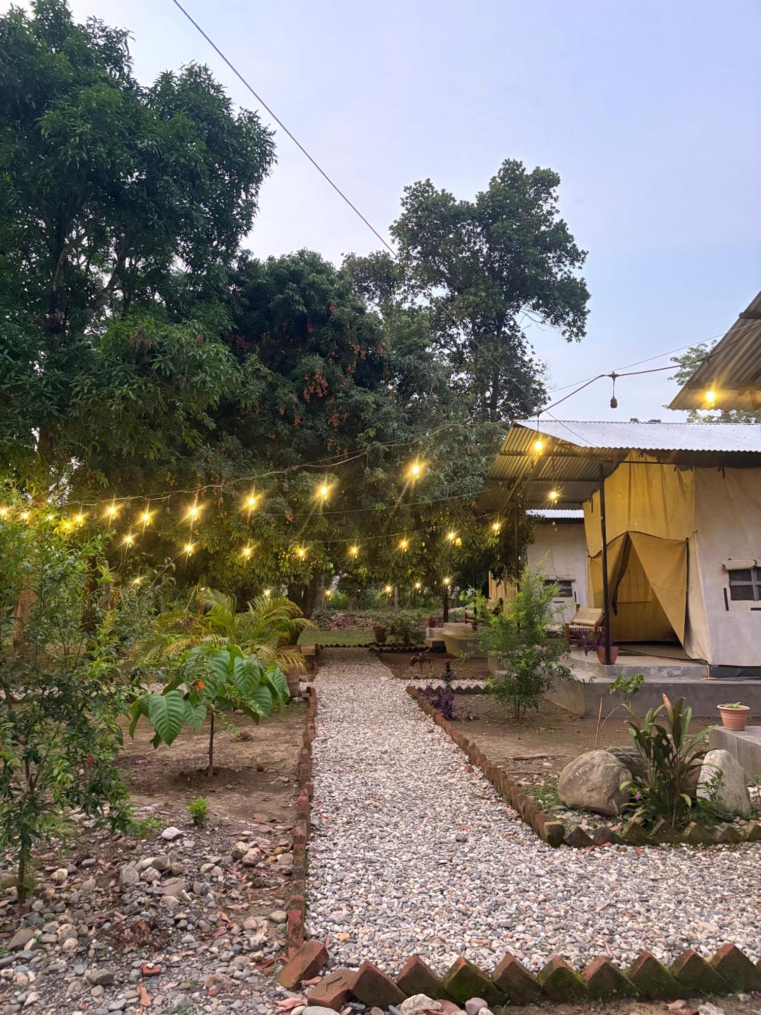 Hotel Tharu Garden And Beer Bar Chitwan Exteriör bild